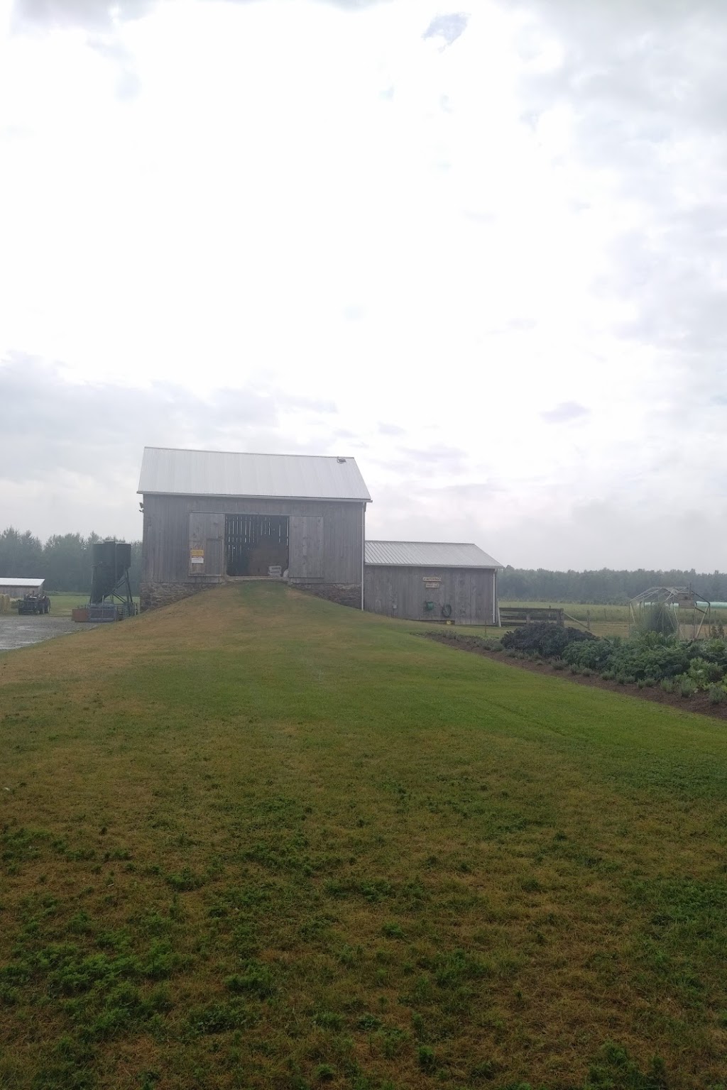 Hutchings Farm | 8923 Morning Glory Rd, Pefferlaw, ON L0E 1N0, Canada | Phone: (905) 955-2389