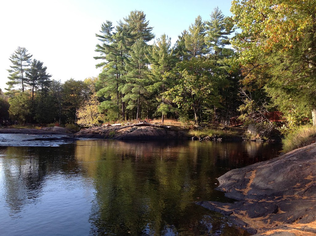 Black River Wilderness Park | 7476 Simcoe County Rd 169, Washago, ON L0K 2B0, Canada | Phone: (705) 689-2502