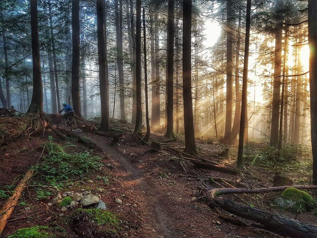 RideHub - Squamish’s Mountain Bike Adventure & Bike Rental Compa | 40524 Highlands Way N, Garibaldi Highlands, BC V0N 1T0, Canada | Phone: (604) 849-2712