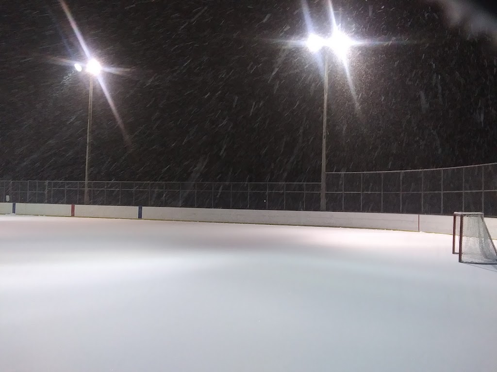 Monarch Park Ice Rink | 115 Felstead Ave, Toronto, ON M4J 1G3, Canada | Phone: (416) 392-2489