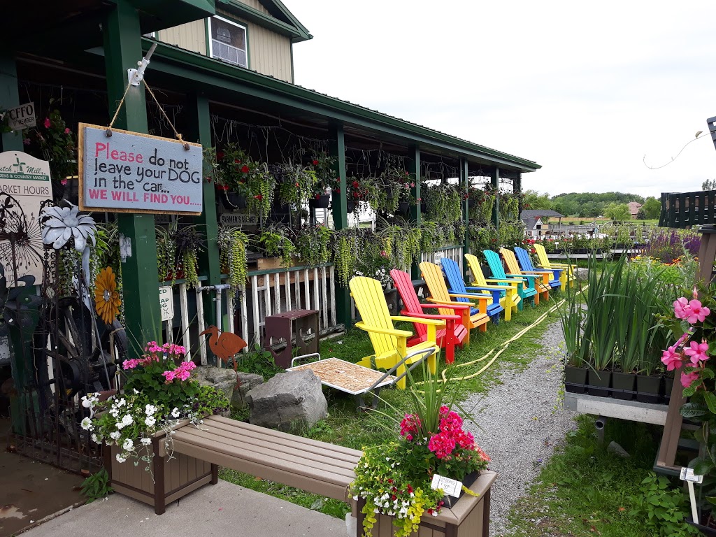 Dutch Mill Country Market | 533 Millgrove Side Rd, Dundas, ON L9H 5E2, Canada | Phone: (905) 689-7253