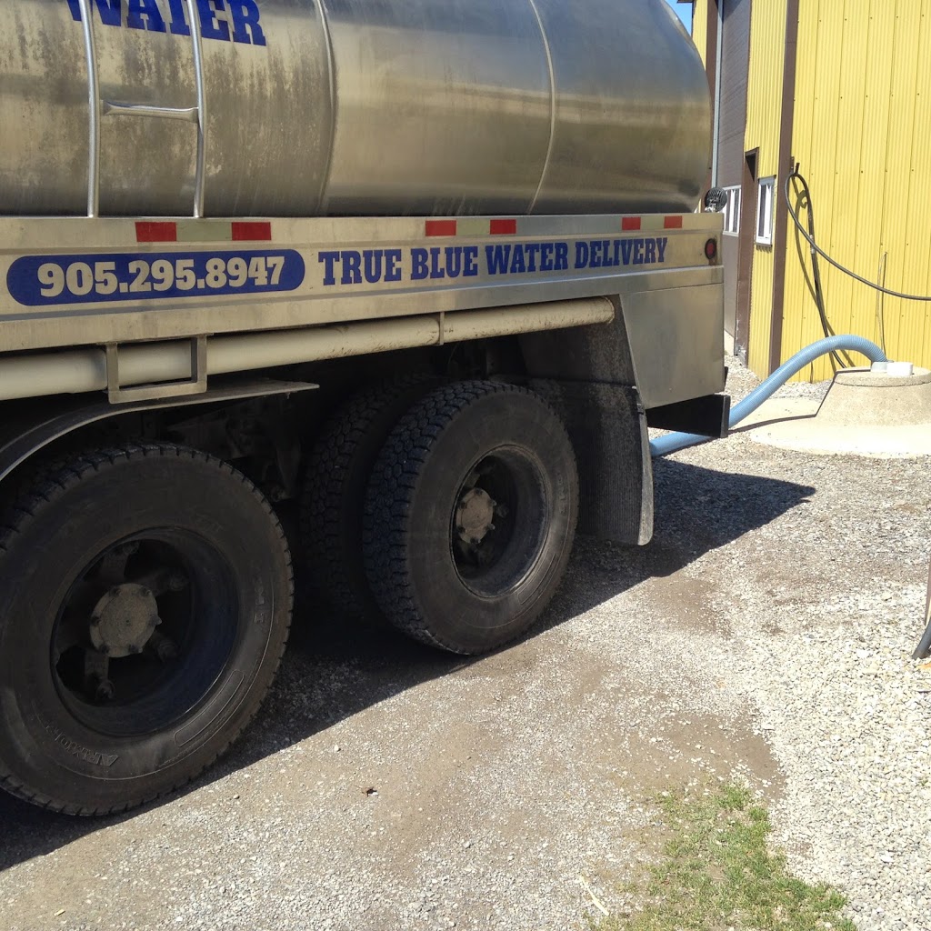 True-Blue Water Delivery | 6392 Lyons Creek Rd, Niagara Falls, ON L2E 0L6, Canada | Phone: (905) 295-8947