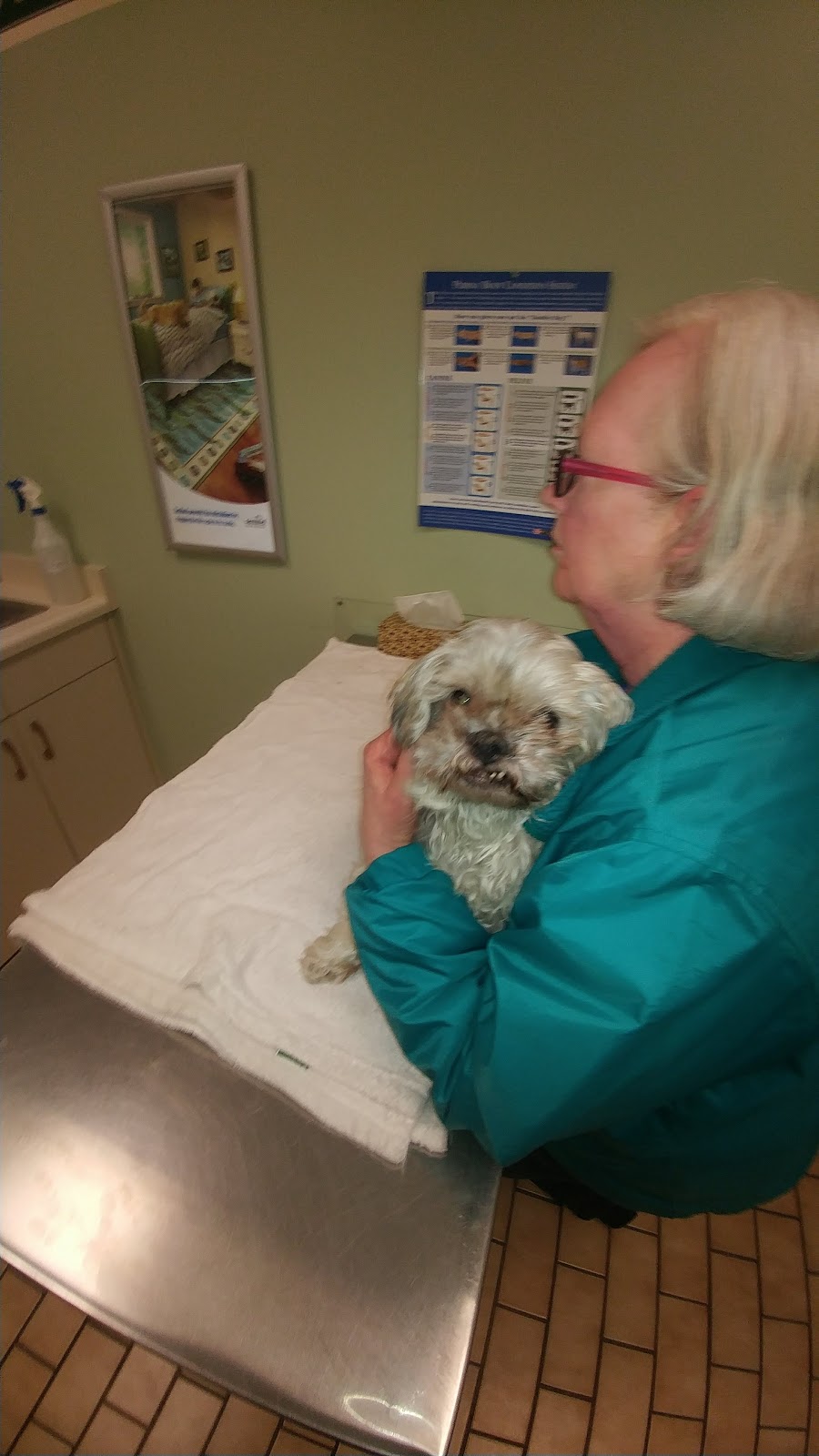 Animal Hospital Of Kitchener Waterloo | 15 Hazelglen Drive, Kitchener, ON N2M 2E2, Canada | Phone: (519) 742-9600