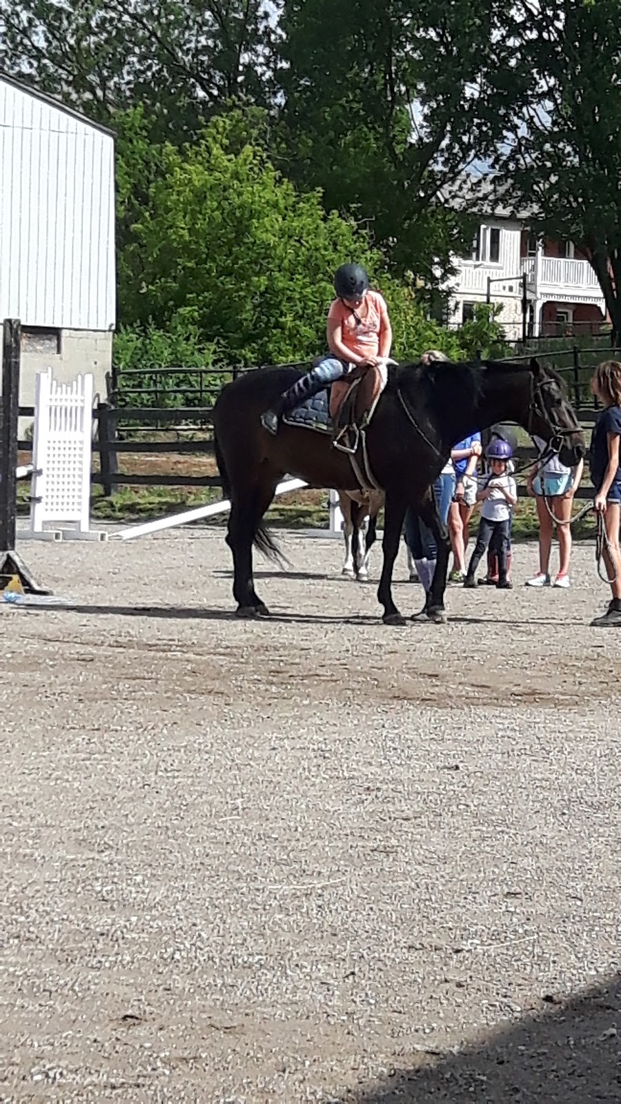 Victoria Rode Horses | 1065 Victoria Rd S, Guelph, ON N1L 1B3, Canada | Phone: (519) 803-0160