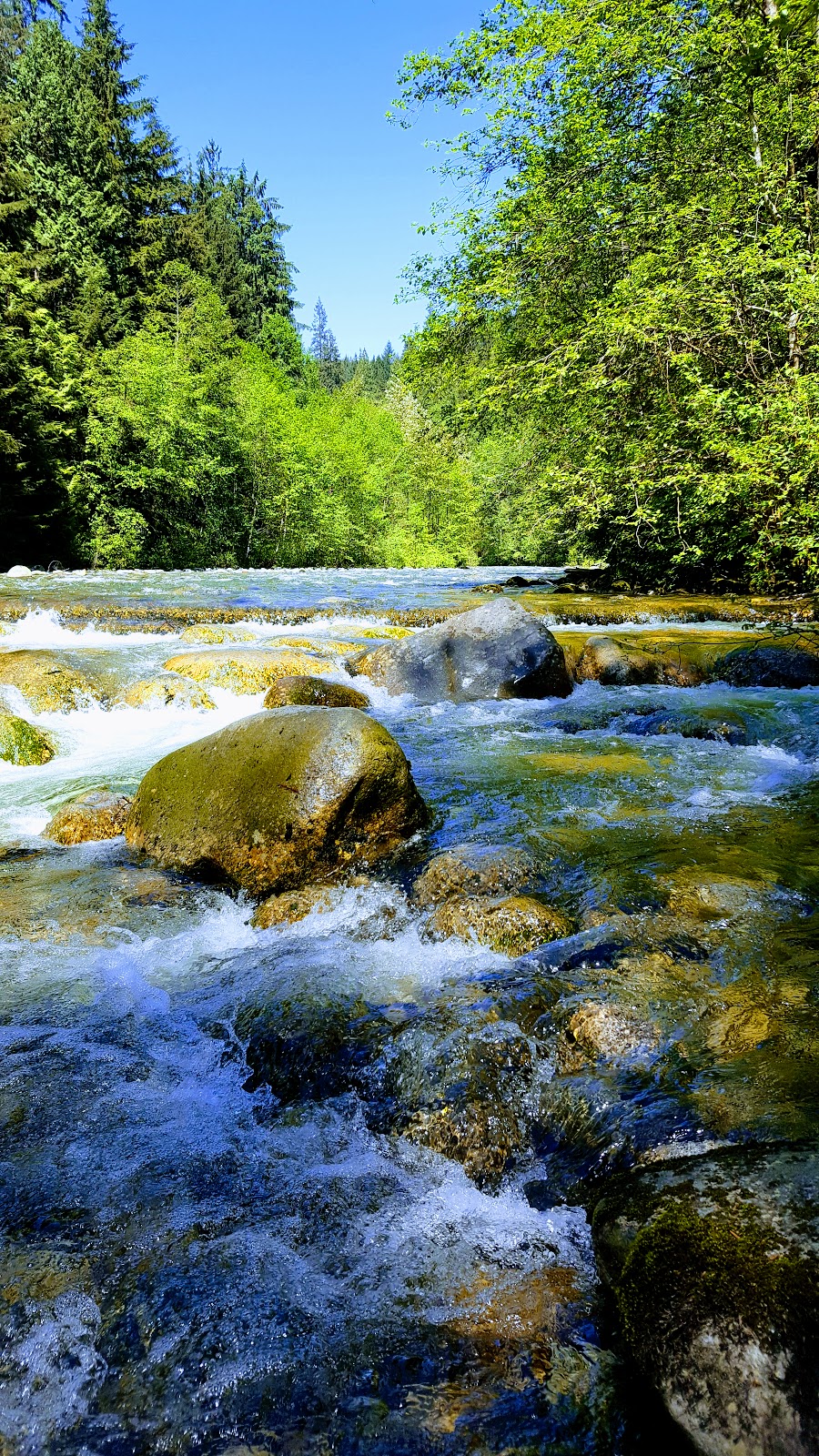 Lynn Canyon Ecology Centre | 3663 Park Rd, North Vancouver, BC V7J 3G3, Canada | Phone: (604) 990-3755