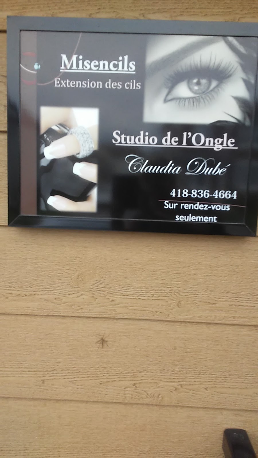 Studio De LOngle Claudia Dubé | 315 Rue Duquet, Lévis, QC G6K 1N4, Canada | Phone: (418) 836-4664