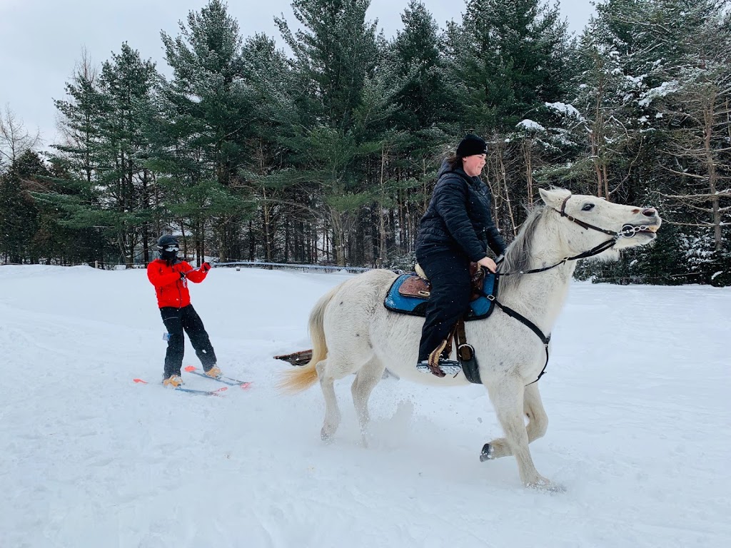 Ski Joering Stukely-Sud | 117 Chemin des Loyalistes, Stukely, QC J0E 2J0, Canada | Phone: (450) 305-1330