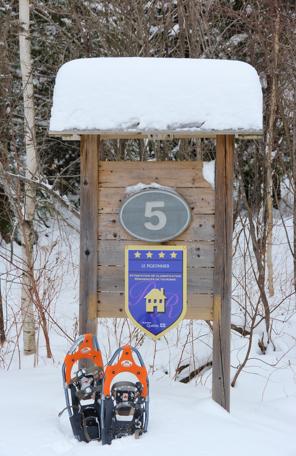 Chalet le Pigeonnier | 5 Chemin des Pinsons, Mansonville, QC J0E 1X0, Canada