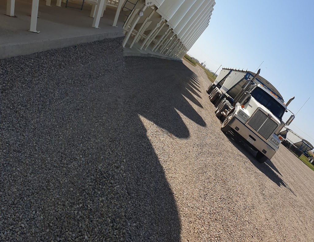 Witdouck Farms Seed Facility | SW 15-11-20 W4, Iron Springs, AB T0K 1G0, Canada | Phone: (403) 738-4395