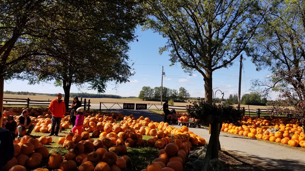 Stroms Farm & Bakery | 5089 Wellington Rd 32, Guelph, ON N1H 6J4, Canada | Phone: (519) 822-1070