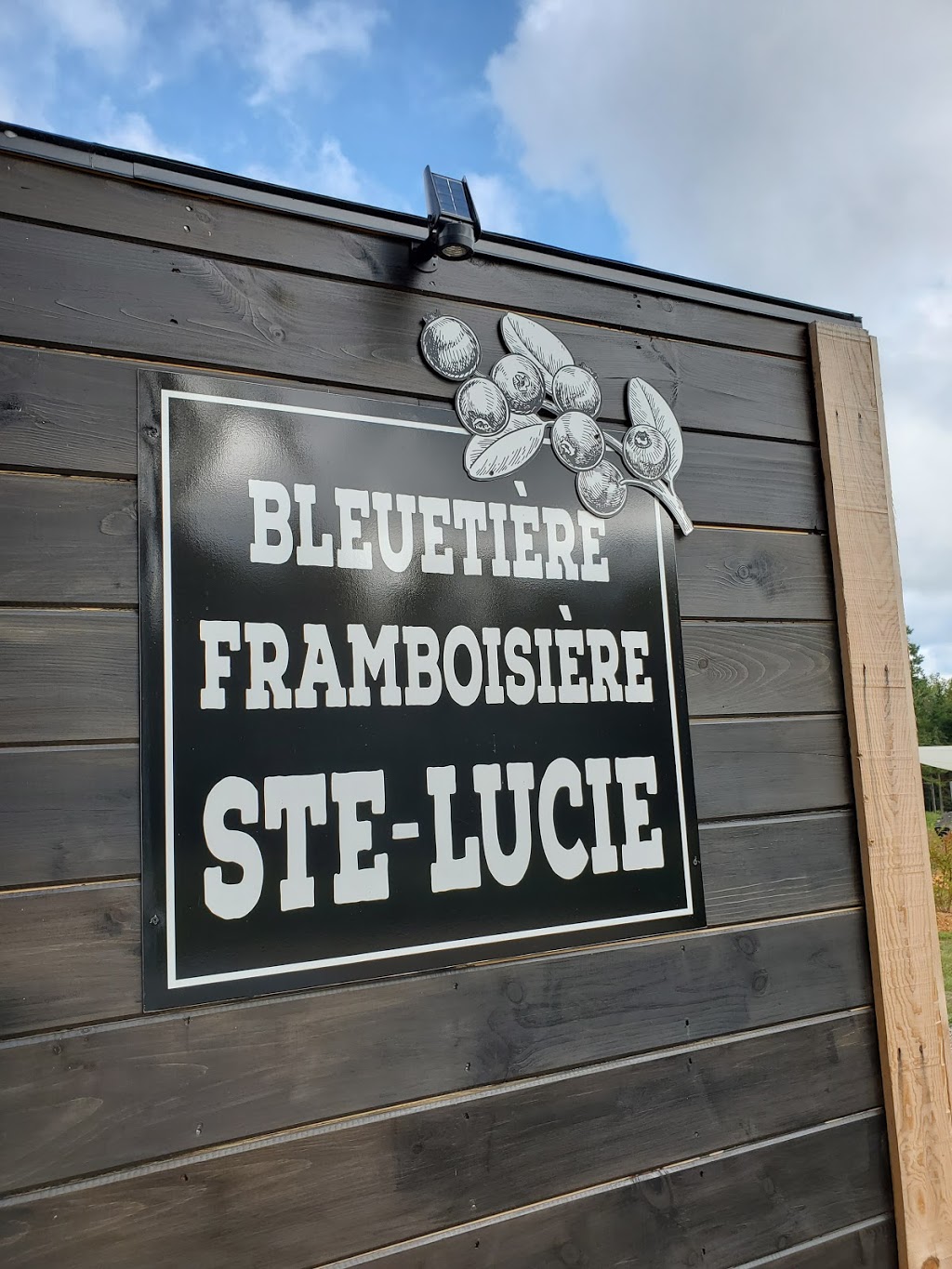 Bleuetiere-framboisiere Ste-Lucie | 520 Chemin des Hauteurs, Sainte-Lucie-des-Laurentides, QC J0T 2J0, Canada | Phone: (450) 228-4567