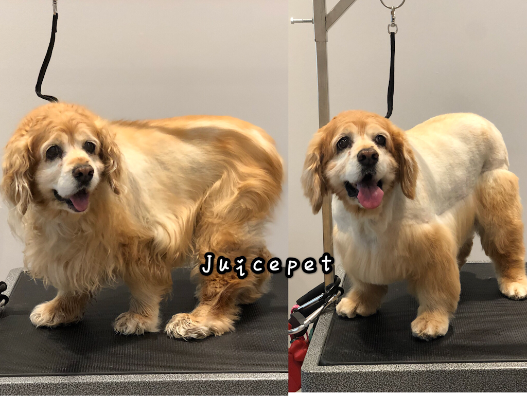 Juicepet | 330 McClellan Way, Aurora, ON L4G 2X8, Canada | Phone: (647) 609-7028