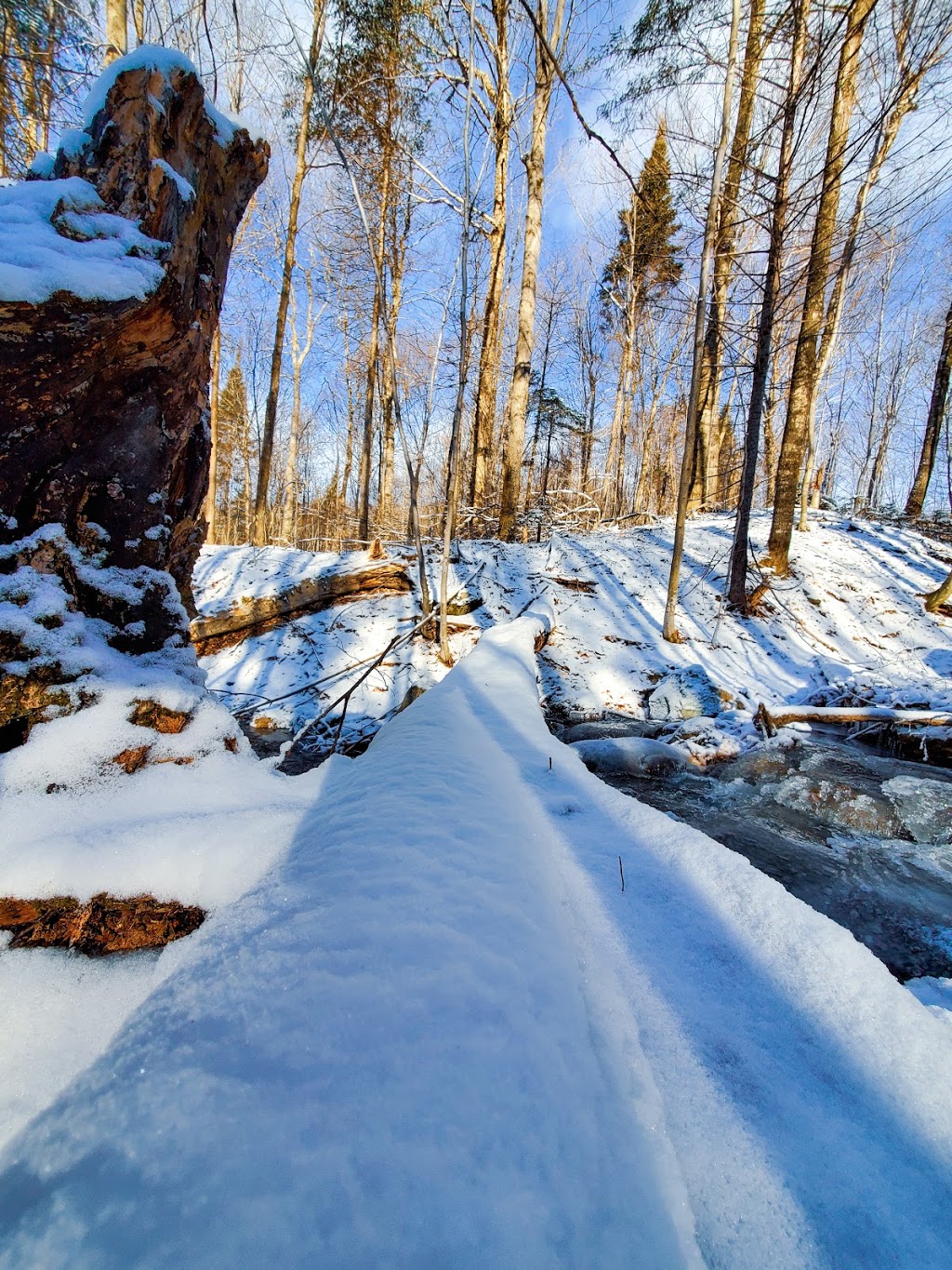 Centre DAcces A La Nature | 2424 Chemin du Lac Quenouille, Lac-Supérieur, QC J0T 1P0, Canada | Phone: (819) 688-3212