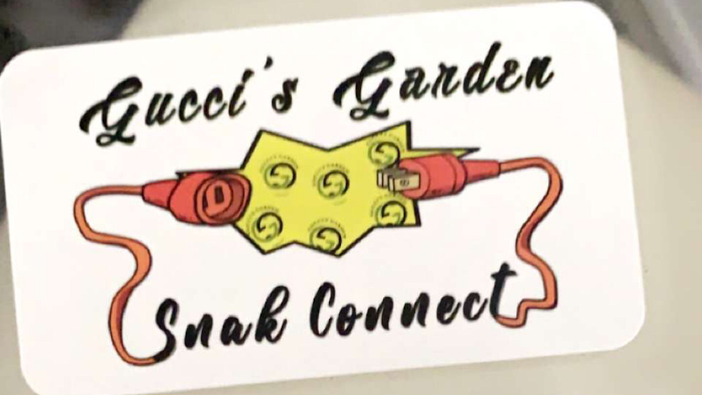 Snak Connect | 2581 Eglinton Ave W, York, ON M6M 1T3, Canada | Phone: (416) 419-5741