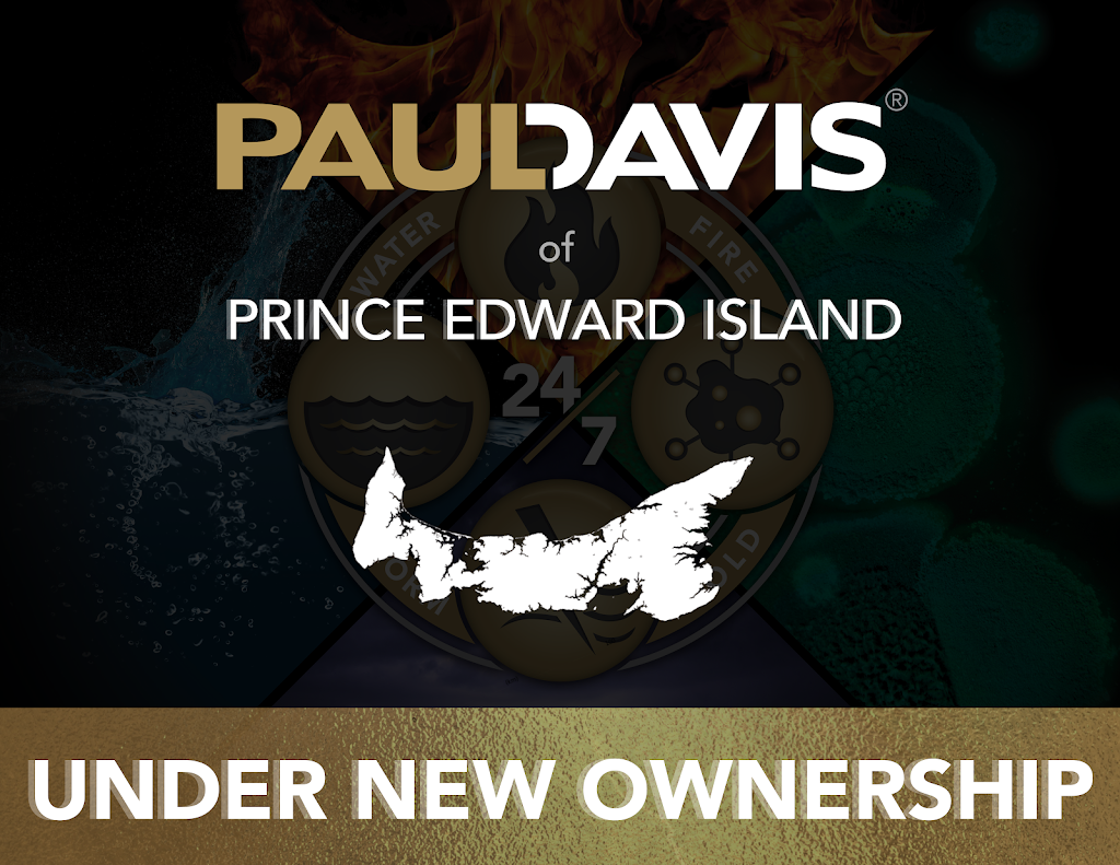 Paul Davis of Prince Edward Island | 47 Anderson Rd Suite E, Kinkora, PE C0B 1N0, Canada | Phone: (902) 436-5485