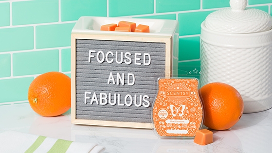 Independent Scentsy Director - Becky Porter | 265 2nd Ave E, Owen Sound, ON N4K 2E8, Canada | Phone: (519) 375-7260