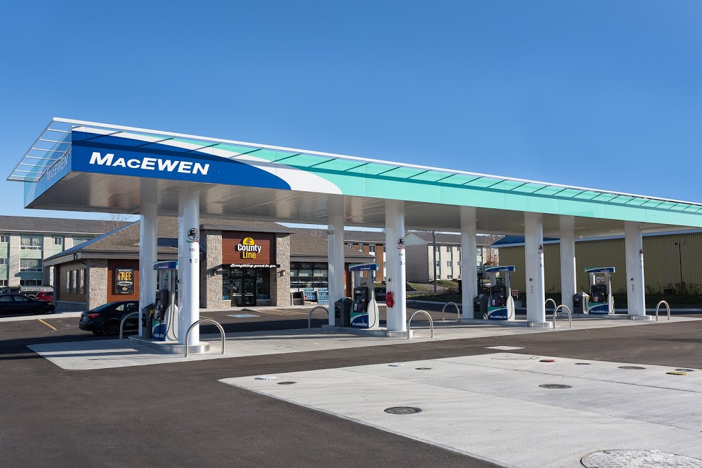 MacEwen Wellington | 132 Wellington Main St, Wellington, ON K0K 3L0, Canada | Phone: (613) 399-3720