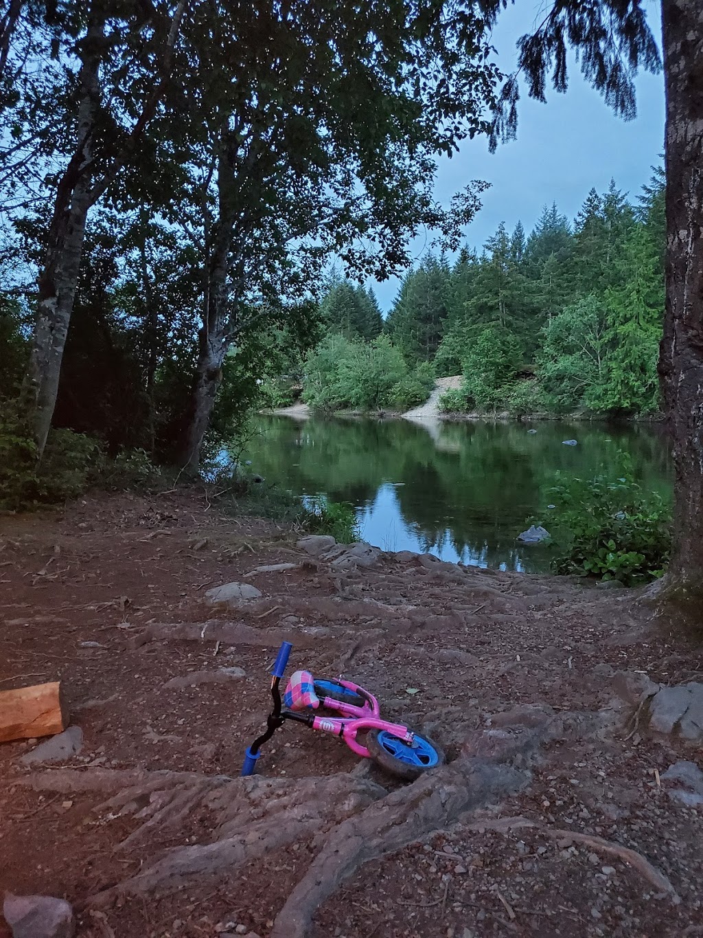 Riverside Campground | Unnamed Road, Errington, BC V0R 1V0, Canada | Phone: (250) 714-9525