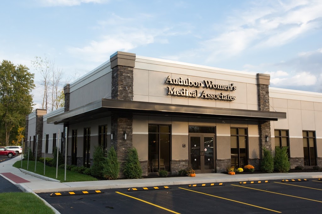 Audubon Womens Medical Associates, PC | 2240 N Forest Rd, Buffalo, NY 14221, USA | Phone: (716) 639-4034