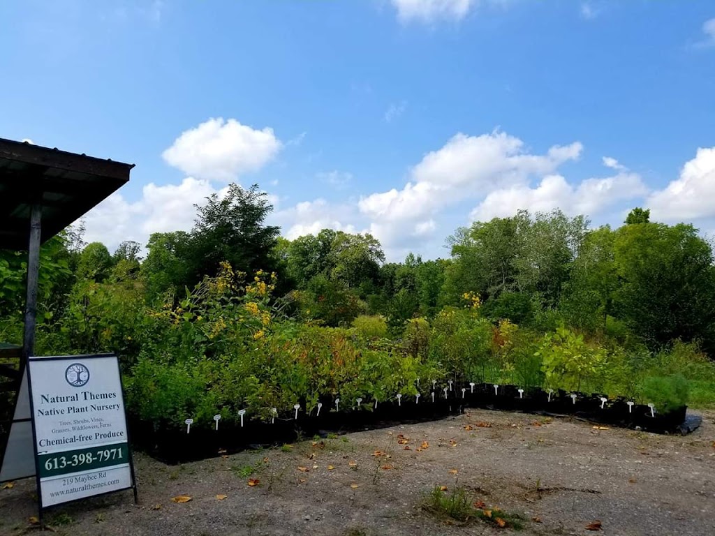 Natural Themes Native Plant Nursery & Organically Grown Produce | 219 Maybee Rd, Frankford, ON K0K 2C0, Canada | Phone: (613) 398-7971