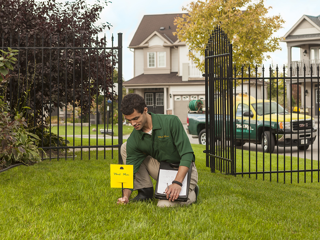 Weed Man Lawn Care | 364 St Vincent St, Barrie, ON L4M 4A5, Canada | Phone: (705) 428-9333