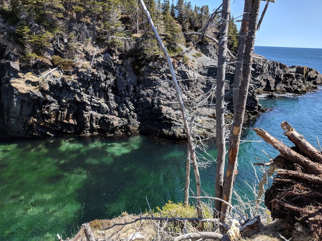 Mickeleens Path | Bears Cove Rd, Goulds, NL A1S 1R3, Canada