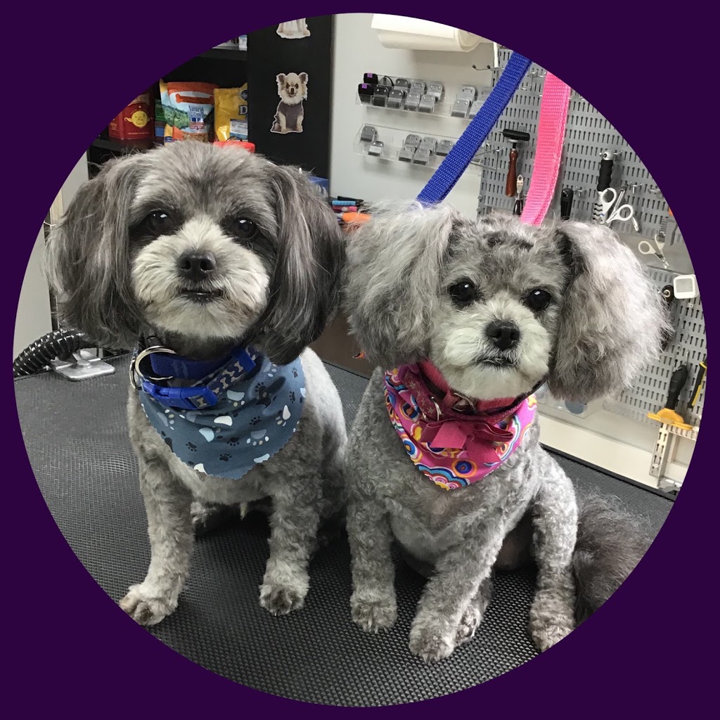 Bark N Beauties Dog Grooming Salon | 35661 Maguire Rd, Ailsa Craig, ON N0M 1A0, Canada | Phone: (519) 228-6861