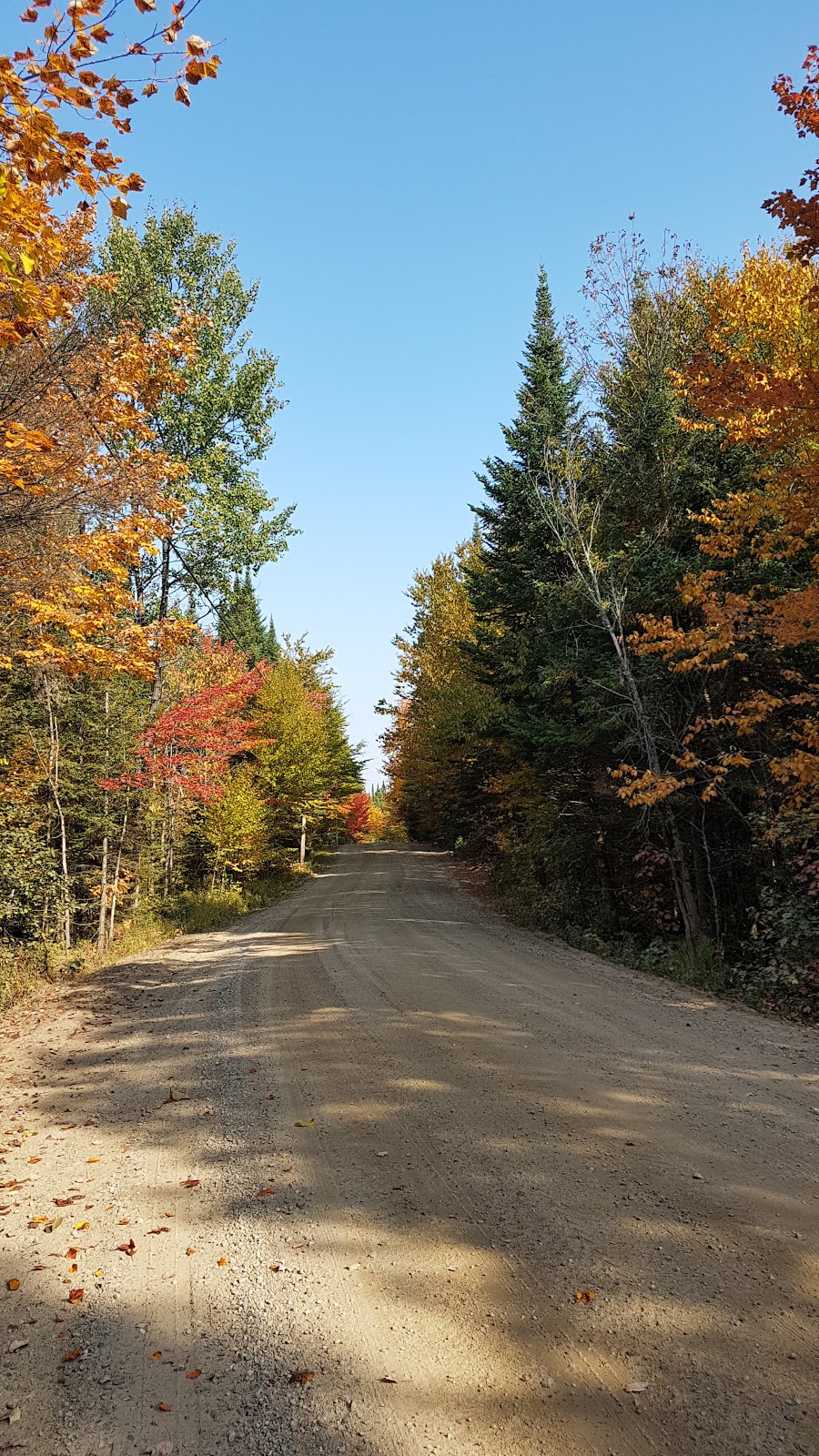 Chalet à louer Les Laurentides Domaine R Monette | Impasse des Rapides, Amherst, QC J0T 2L0, Canada | Phone: (450) 582-2789