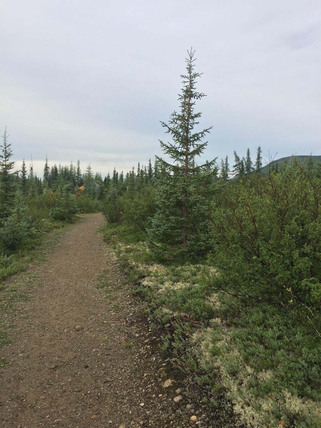 Lac arthabaska parc des grand jardins PÊCHE | Chemin du Lac Ste Anne, Saint-Urbain, QC G0A 4K0, Canada | Phone: (418) 456-4846