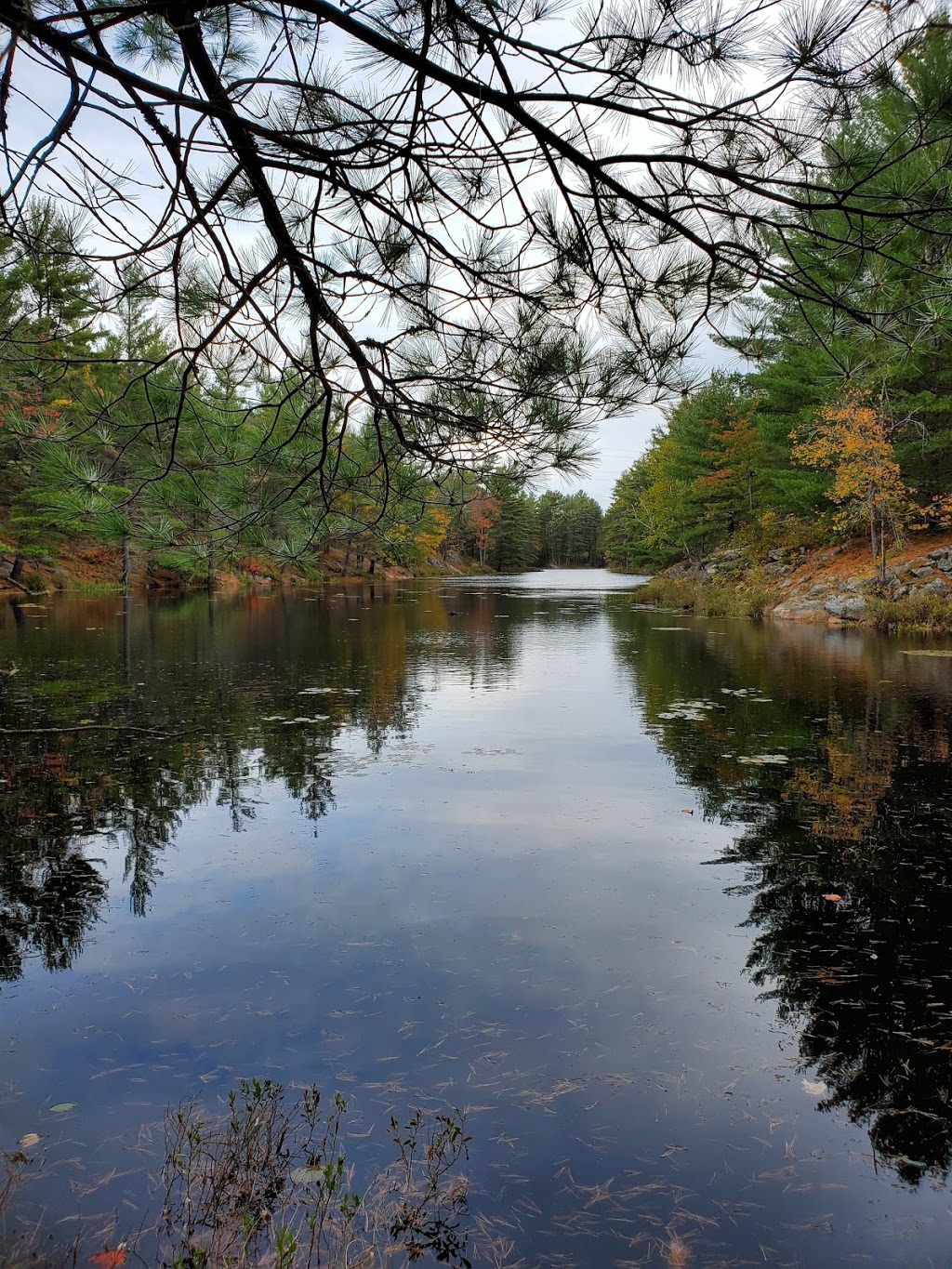 Adams Nature Reserve | 1900 Coopers Falls Rd, Washago, ON L0K 2B0, Canada | Phone: (705) 326-1620