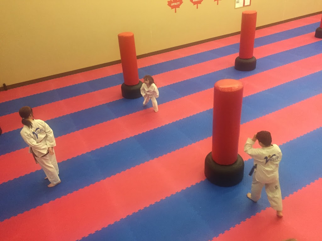 Valley Taekwondo | 321 A Kaska Rd, Sherwood Park, AB T8A 4E9, Canada | Phone: (780) 995-5632