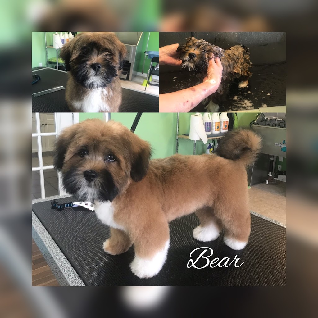 Southpaw Grooming & Wellness | 32 Aspenglen Pl, Spruce Grove, AB T7X 3K1, Canada | Phone: (780) 886-9731