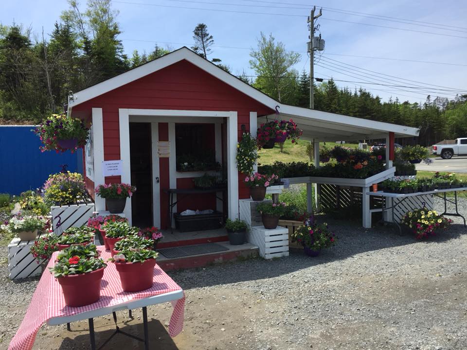 Ripple Trail Farm Ltd. | turn off at Route 81, then 10.4 kilometres down the main road, through, Markland, NL A0B 1G0, Canada | Phone: (709) 685-1360