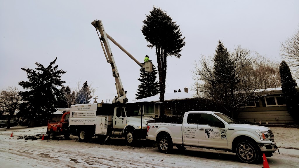 Second Nature Tree Care | 929 16 St S, Lethbridge, AB T1J 3C1, Canada | Phone: (403) 915-3986