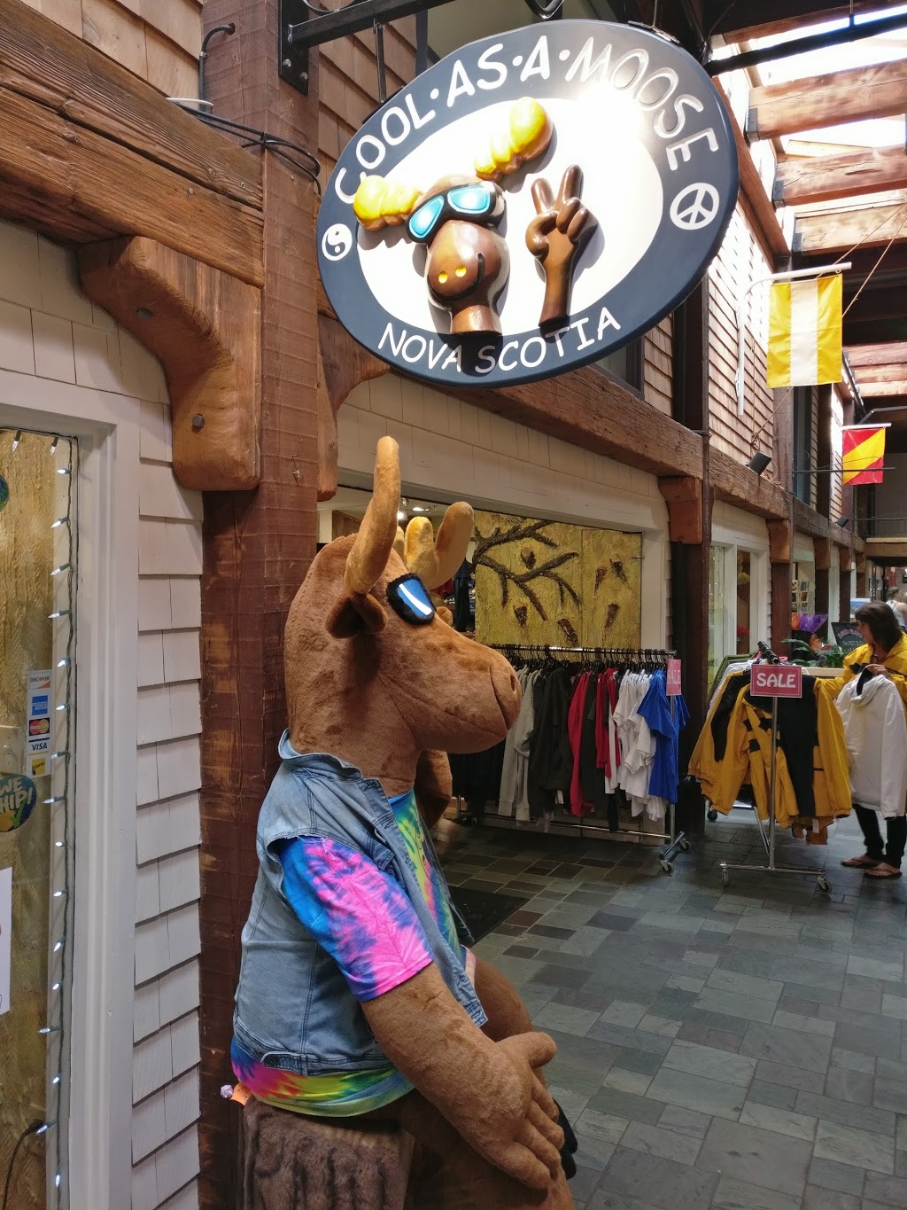 Cool As A Moose | 1869 Upper Water St, Halifax, NS B3J 1S9, Canada | Phone: (902) 423-5168