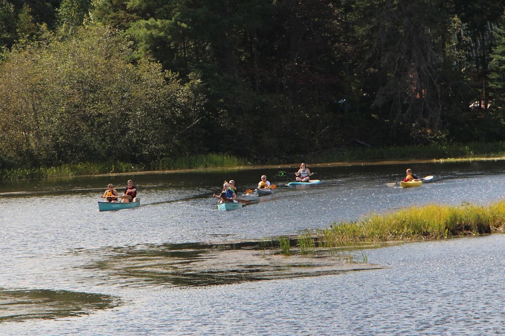 Deep Roots Adventure | 4071 Elephant Lake Rd Unit C, Harcourt, ON K0L 1M1, Canada | Phone: (705) 854-0628