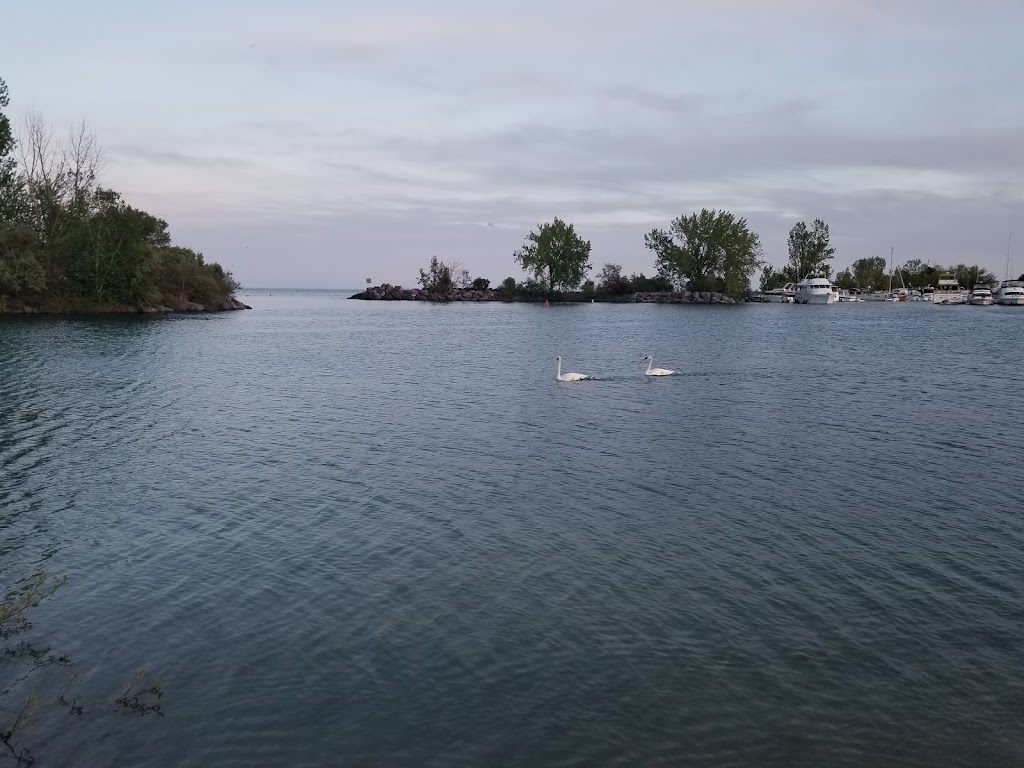 Scarborough Bluffs Sailing Club | 27 Bluffers Park, Scarborough, ON M1M 3W3, Canada | Phone: (416) 264-2692