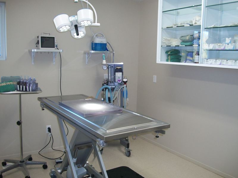 Clinique Vétérinaire Deborah Nash | 84 B Rue Principale, Saint-Louis-de-Gonzague, QC J0S 1T0, Canada | Phone: (450) 377-1279