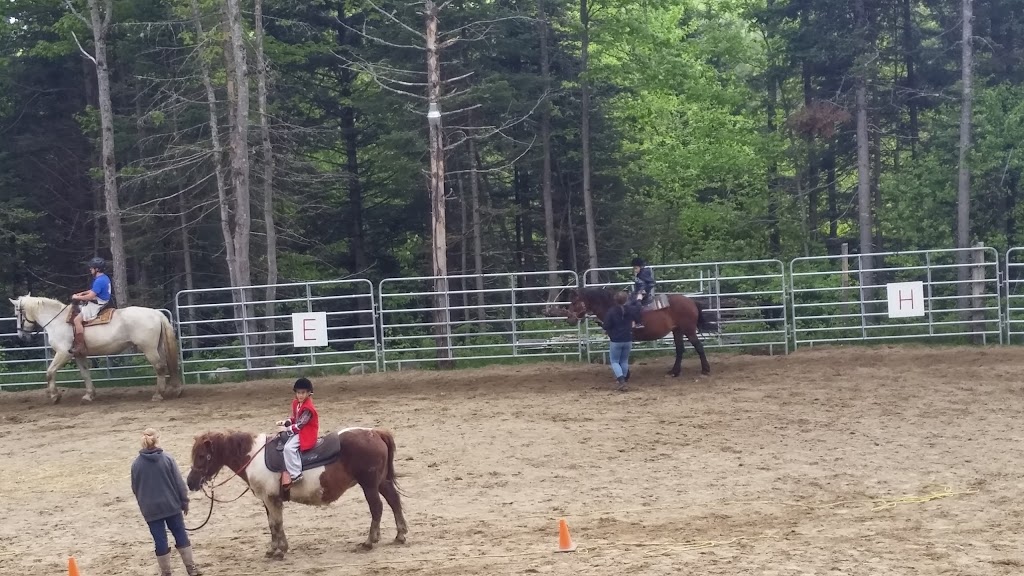 Domaine Léqui-Libre - Camp École Déquitation | 100 Chemin Wexford, Fossambault-sur-le-Lac, QC G3N 0M5, Canada | Phone: (418) 951-9002