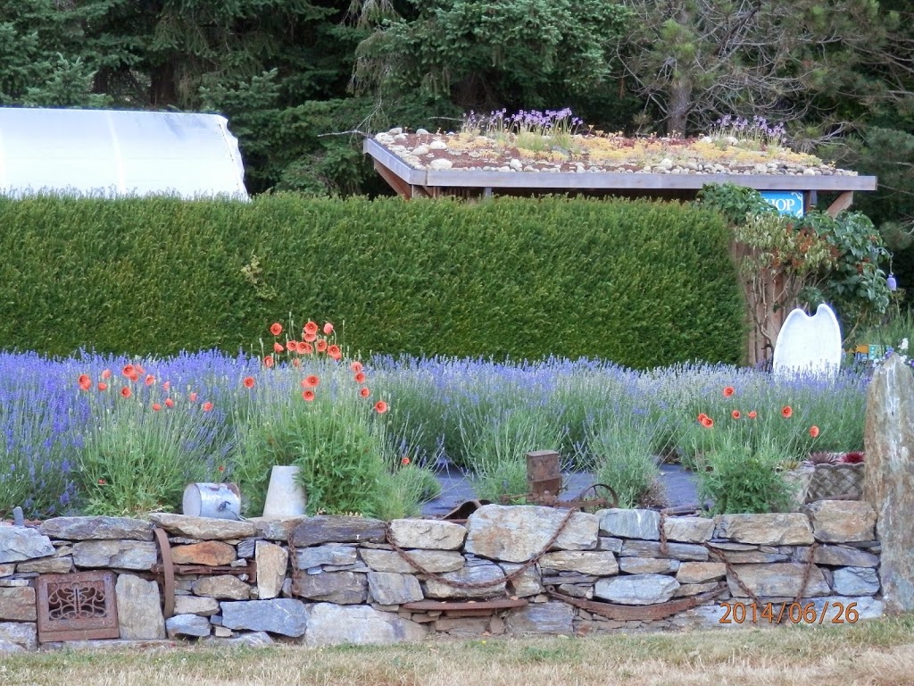 Happy Valley Lavender & Herbs | 3505 Happy Valley Rd, Victoria, BC V9C 2Y2, Canada | Phone: (250) 474-5767
