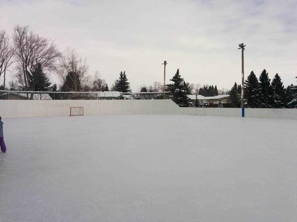 Alpine Park Rink | 36 Alpine Blvd, St. Albert, AB T8N 2M7, Canada