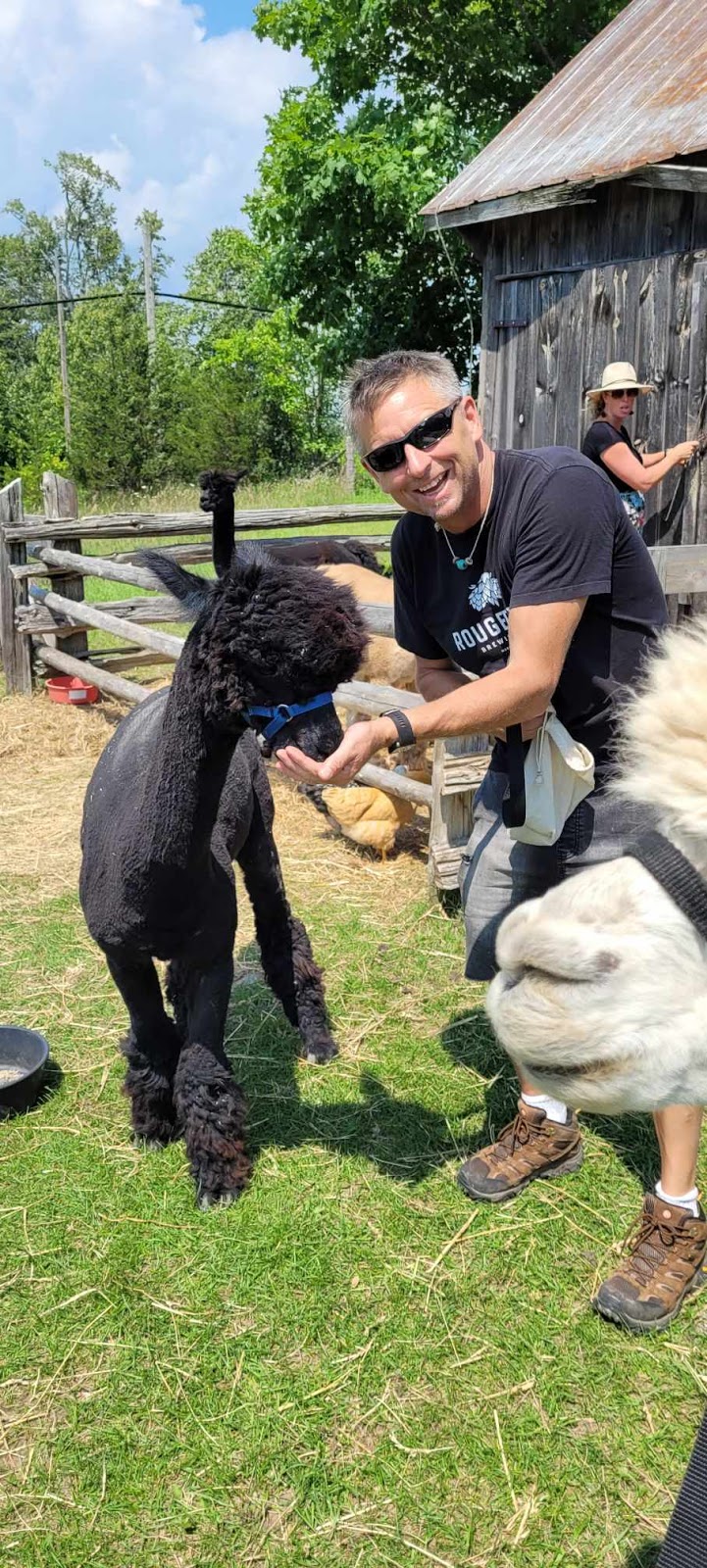 Wanderlight Alpaca Experience | 874 Lynchs Rock Rd, Lakefield, ON K0L 2H0, Canada | Phone: (705) 652-0987