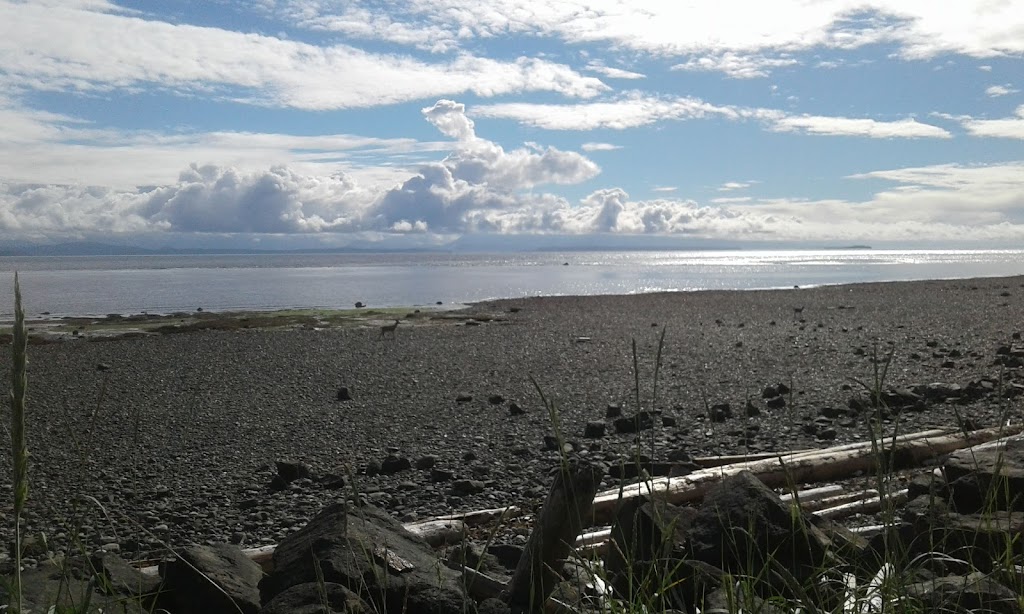 Seaside Cottage | 2371 S Island Hwy, Campbell River, BC V9W 1C4, Canada | Phone: (866) 663-1800