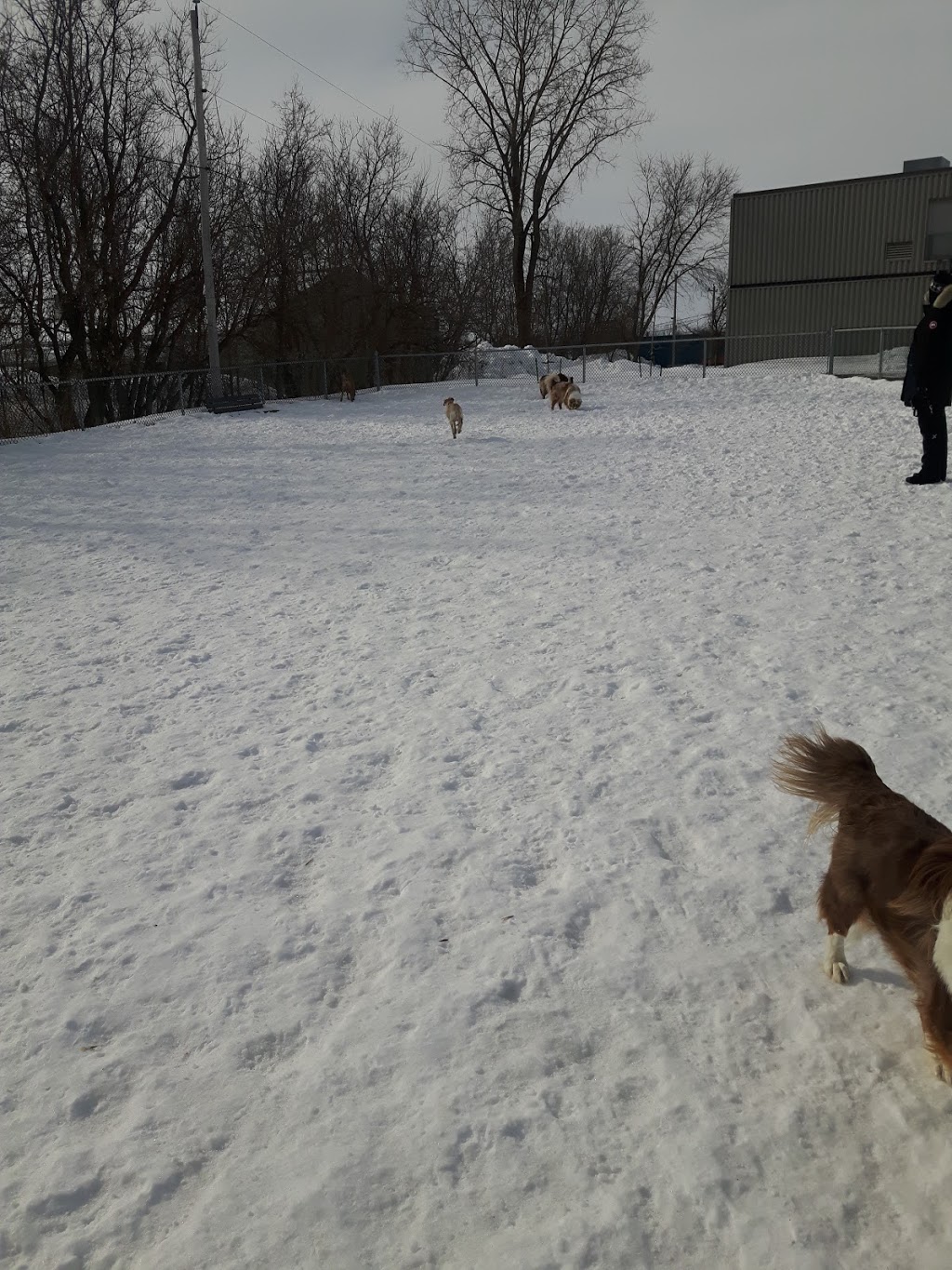 Parc Canin | 1016 Rue Visitation, Saint-Charles-Borromée, QC J6E 7Y8, Canada