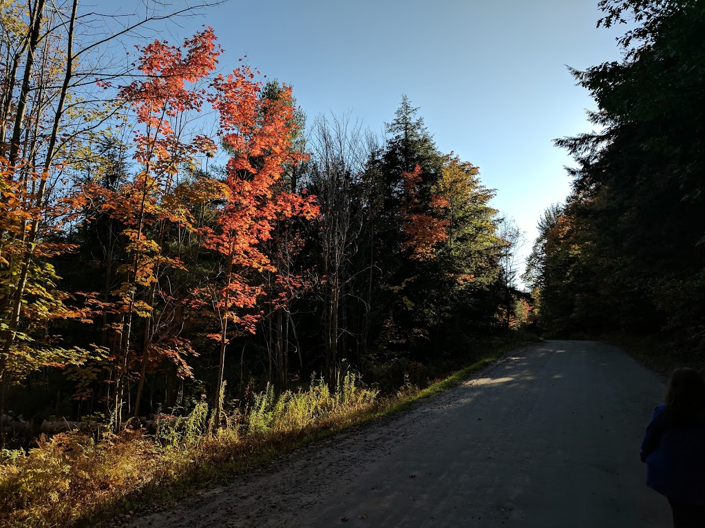 H.N. Crossley Nature Reserve | Miko Ln, Rosseau, ON P0C 1J0, Canada | Phone: (800) 440-2366