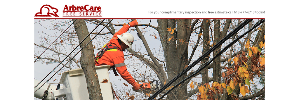 ArbreCare Tree Service | 150 Binnington Ct, Kingston, ON K7M 8N1, Canada | Phone: (613) 634-6341