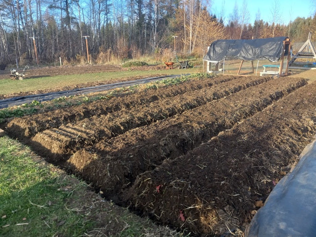 Arboreagro | 2128 Chem. de la Pointe, Saint-Félicien, QC G8K 3G4, Canada | Phone: (418) 515-3825