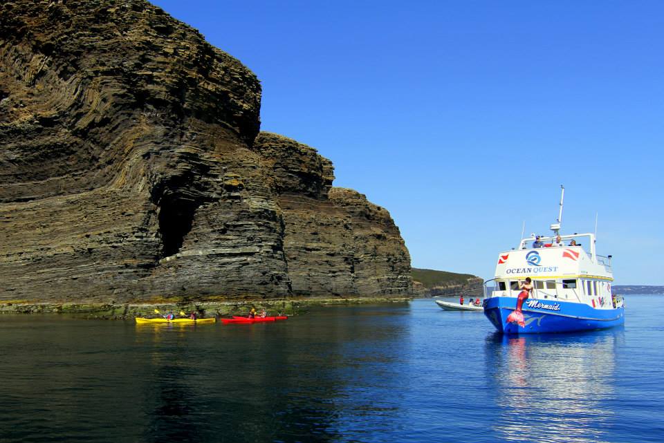 Ocean Quest Adventures | 40 OLeary Ave, St. Johns, NL A1B 2C7, Canada | Phone: (709) 834-7234