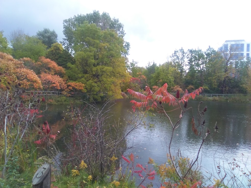 Henri Nouwen Resting Place | 12125 Yonge St, Richmond Hill, ON L4E 3M4, Canada