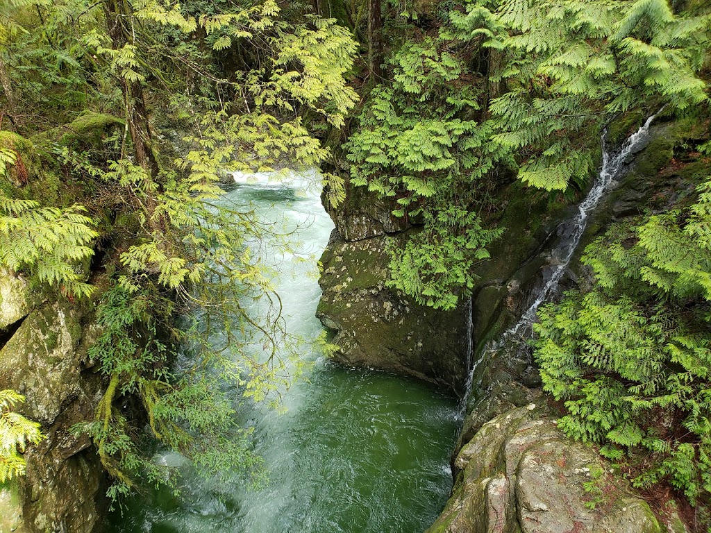 Lynn Canyon Park | 3690 Park Rd, North Vancouver, BC V7J 3K2, Canada | Phone: (604) 990-3755